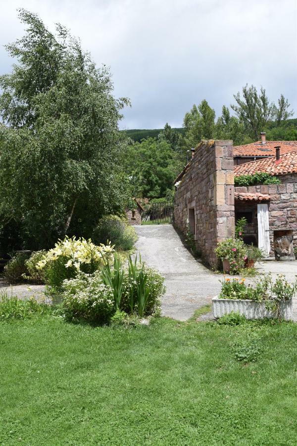 Casa Miguel Lejlighed Olea Eksteriør billede